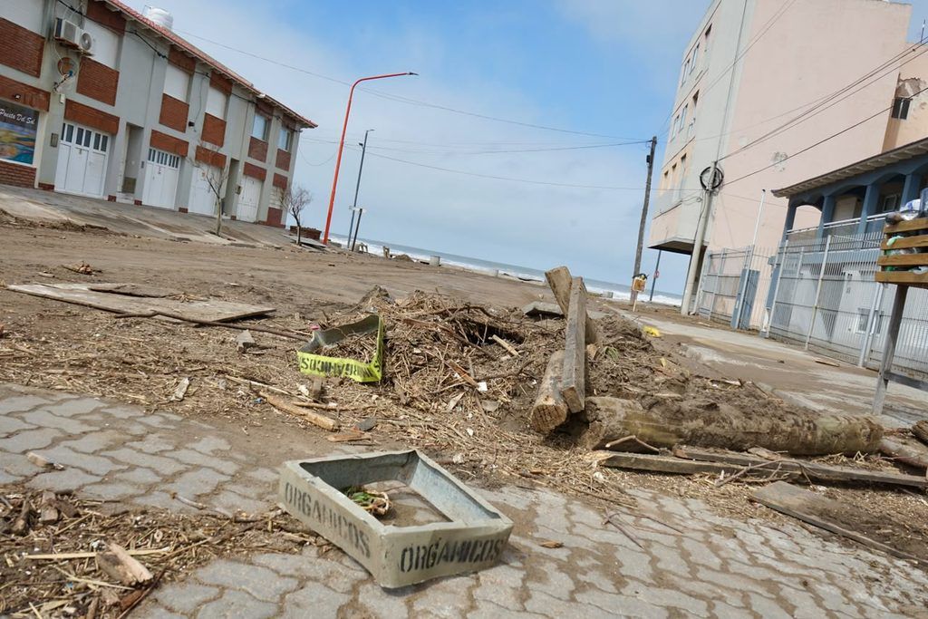 Imagen del artículo
