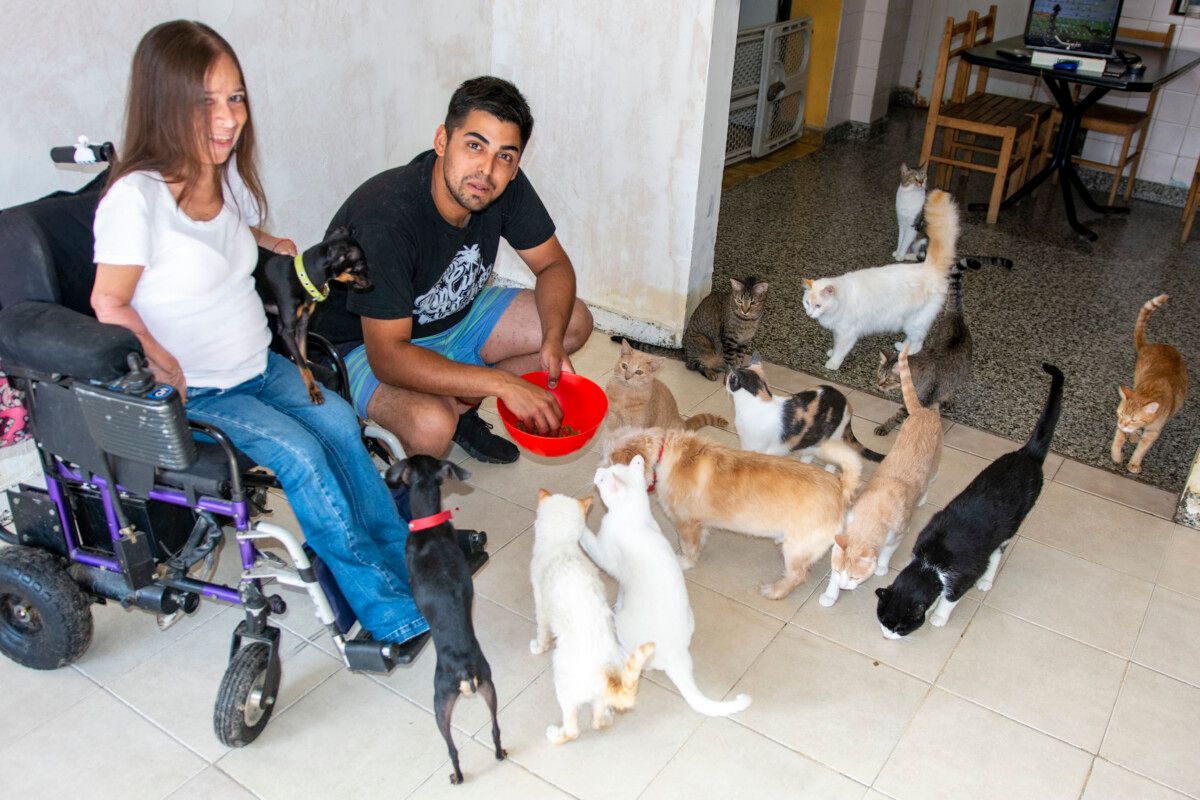 Imagen del artículo