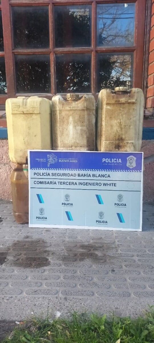 Imagen del artículo