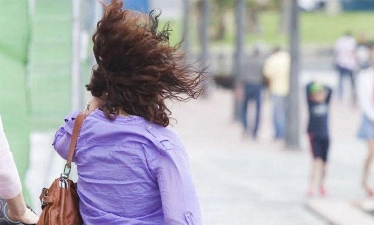 Alerta amarilla por viento en Bahía Blanca hasta la medianoche