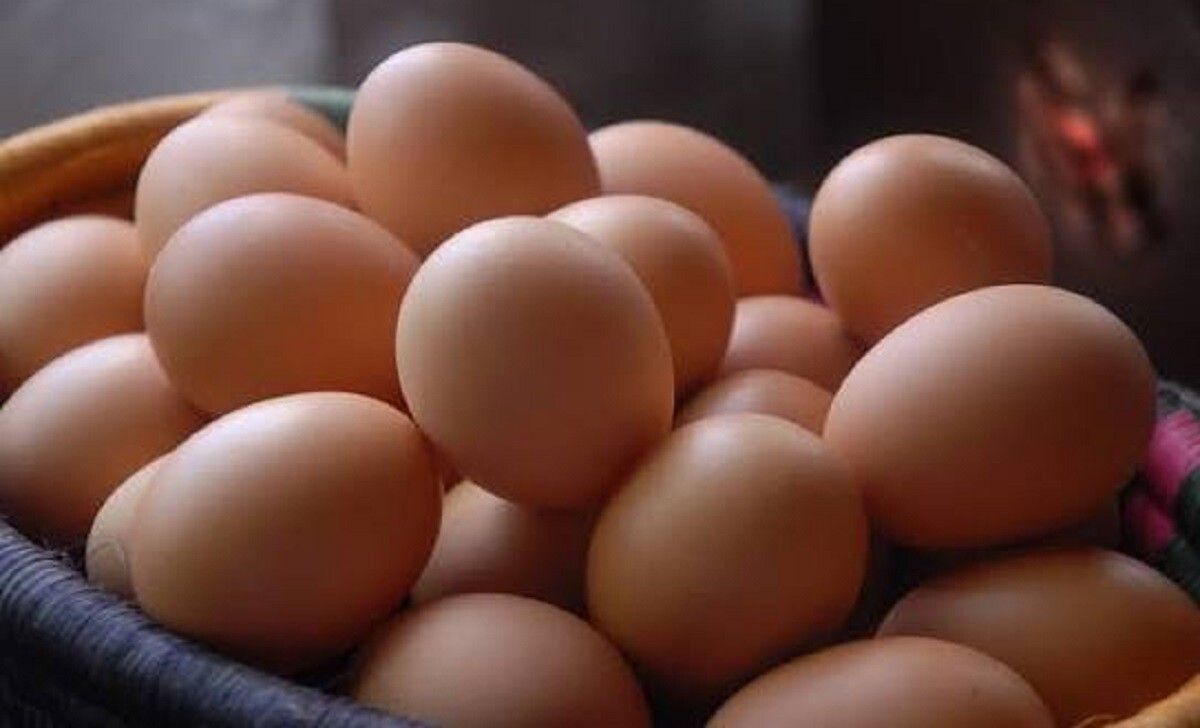 Recomendaciones sobre el consumo de huevos en la dieta diaria