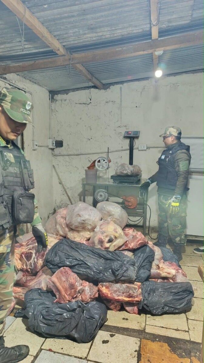 Imagen del artículo