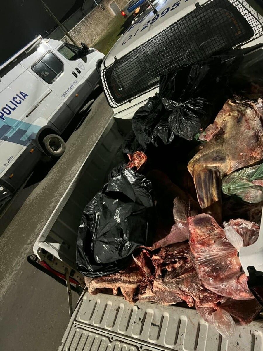 Imagen del artículo