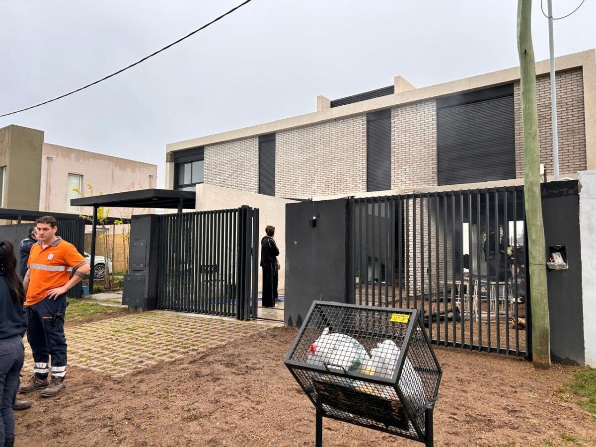 Imagen del artículo