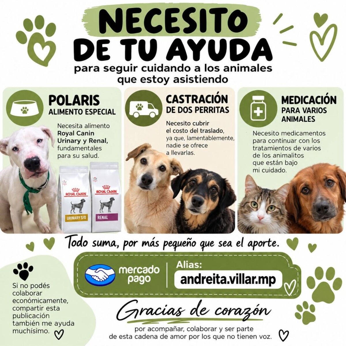 Imagen del artículo