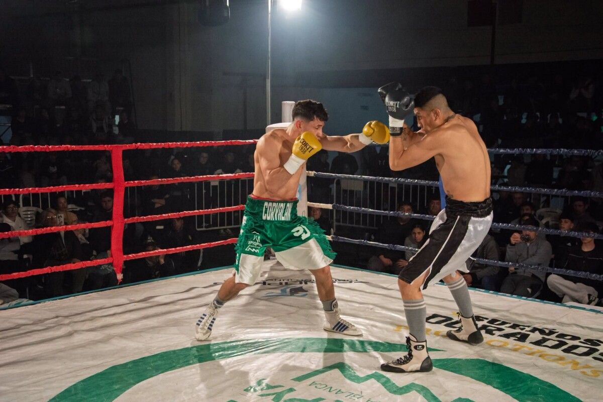 César Toloza y Gonzalo Corvalán brillan en velada de boxeo