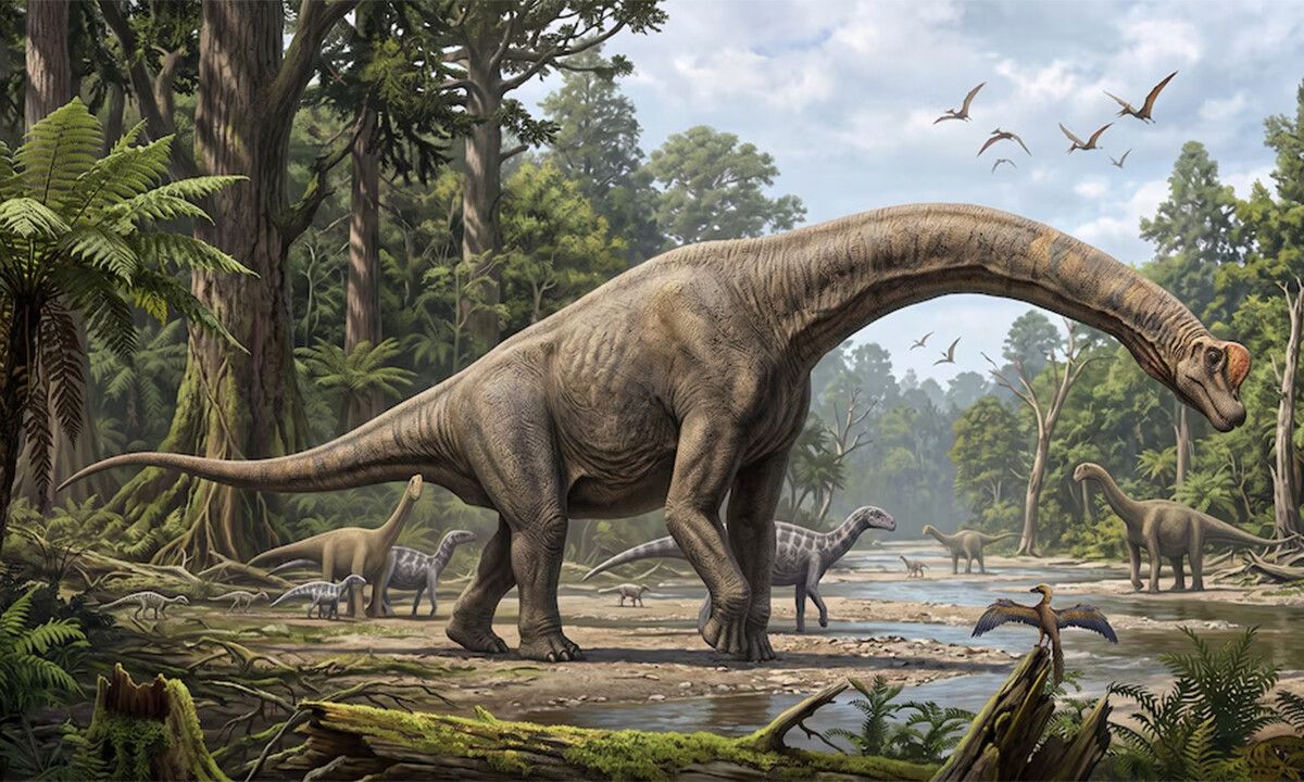 Descubren huevos de dinosaurio de 68 millones de años en Patagonia