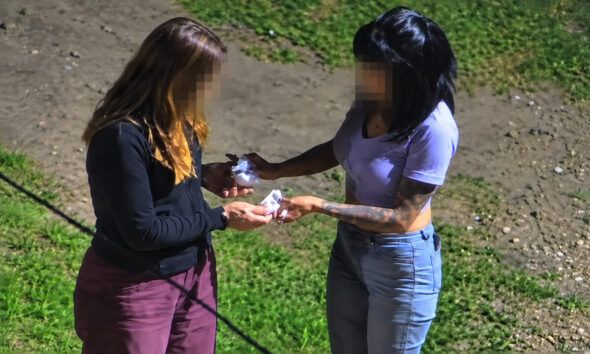 Detienen a 'La Uruguaya' por venta de drogas en Bahía Blanca