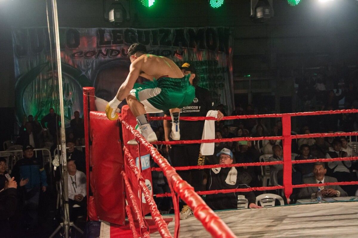 Imagen del artículo