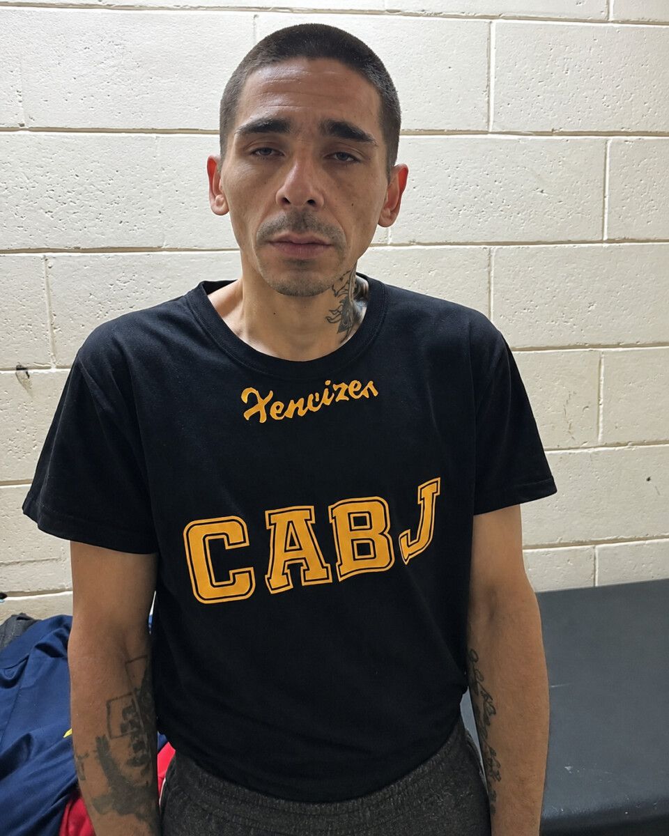Imagen del artículo