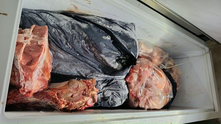 Allanamientos en Médanos por faena clandestina de carne vacuna